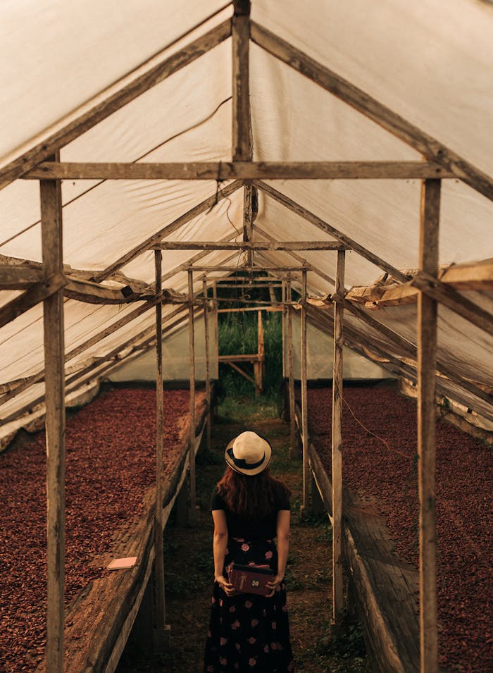 A woman with a hat walks in a wooden cacao drying shed, showcasing agricultural processes in Davao, Philippines.