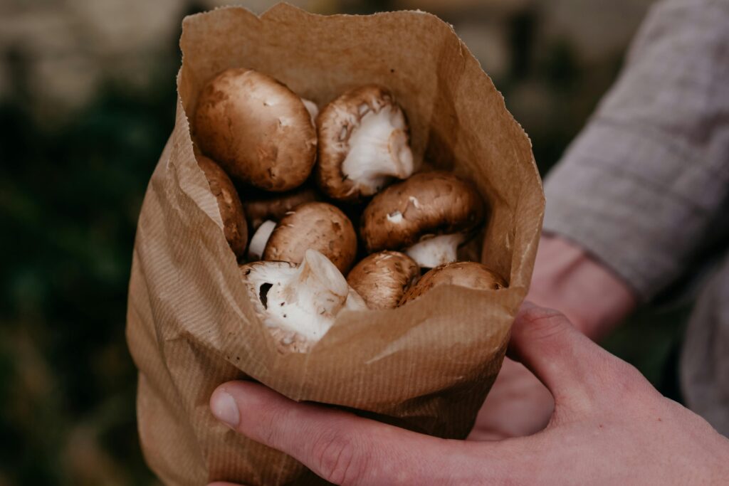 Brown mushrooms in a paper bag held outdoors, ready for cooking or sale.