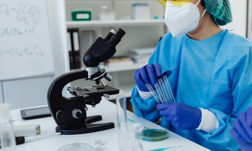 pexels photo 8539896 8539896